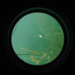 Amorçage/Propulsion - CARP SPIRIT Aquascope carpe water scan