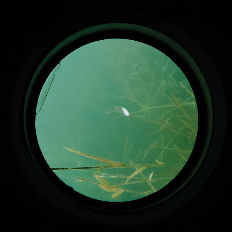 Amorçage/Propulsion - CARP SPIRIT Aquascope carpe water scan