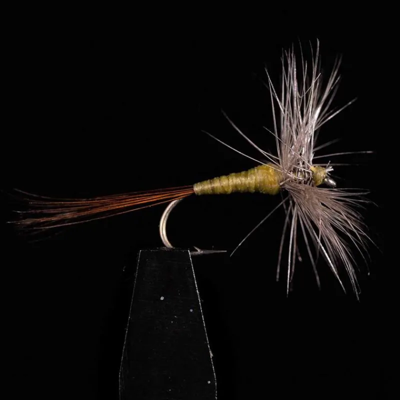 Mouches - JMC Araignée 600 H16 (x3)