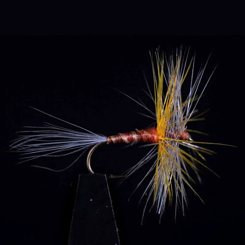 Mouches - JMC Araignée 601 H14 (x3)