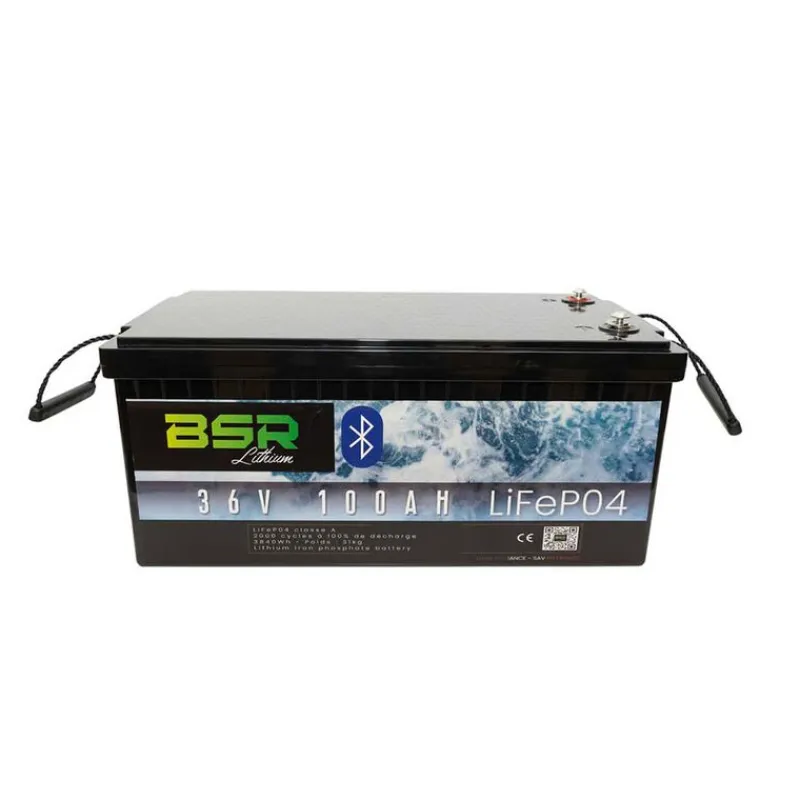 Batterie - BSR Batterie Bac Monobloc LifePo4 36V/100 Ah + chargeur non étanche 10A