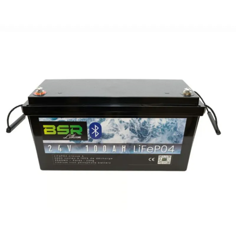 Batterie - BSR Batterie Monobloc Lithium Life Po4 24V/100 Ah + Chargeur Non Etanche 10A