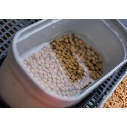 Bagagerie / Rangement Et Transport - GURU Boite Conti Bait Box 1.1 Pint Grey