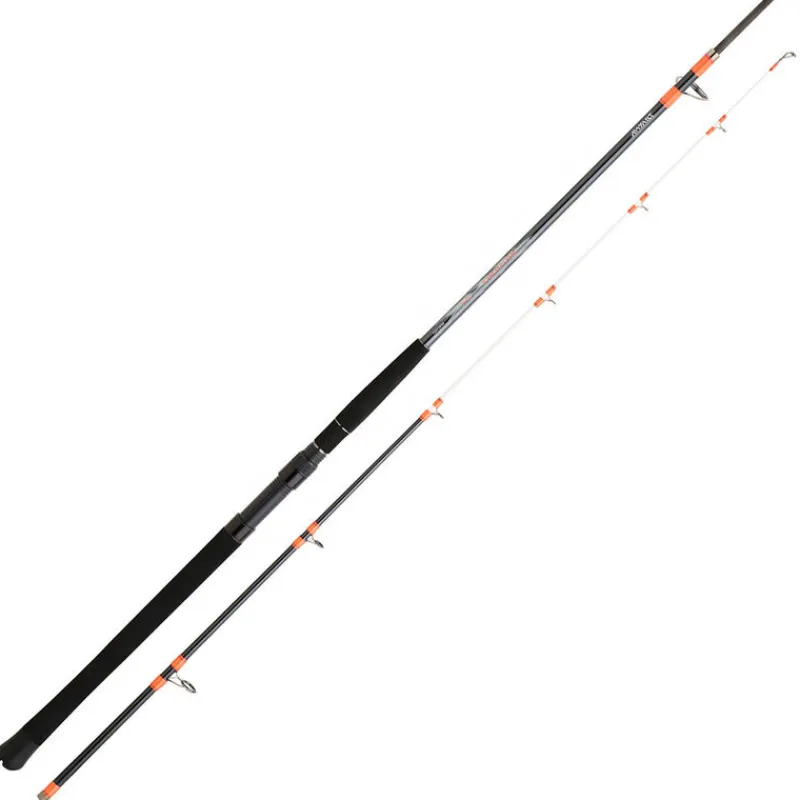 Cannes - DAIWA Canne Bateau Megaforce Boat 24H 2.40m, 100-300g
