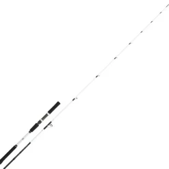 Cannes - DAIWA Canne bay jiggin saltist off shore  2.06m 60/150g