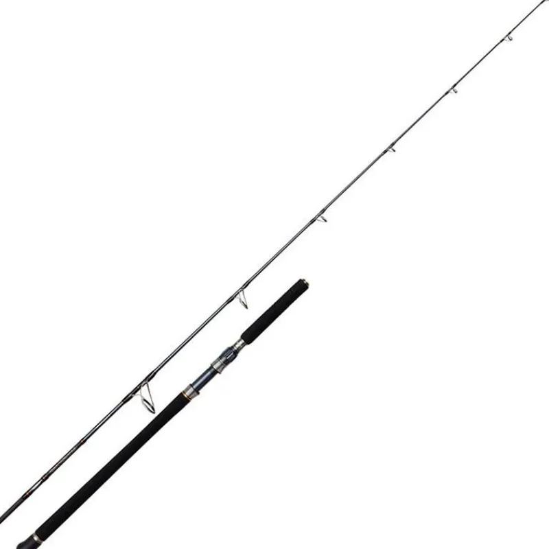 Cannes - PENN Canne Berkley Battalion Solid Offshore Casting Rod 2m28 30-180g