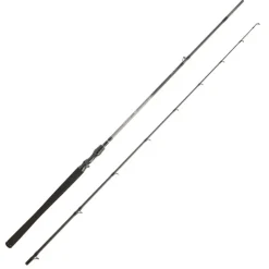 Cannes - DAIWA Canne Casting Exceler 762XXHFBOSEF 2.29m, 60-120g