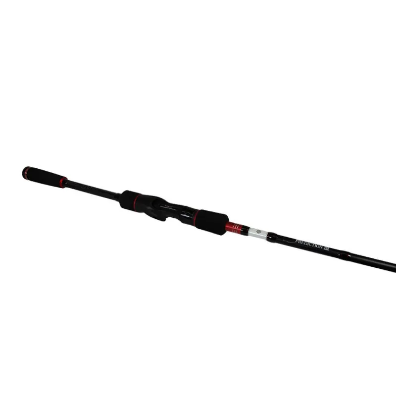 Cannes - EVOK Canne Casting Prediction 732xh 2.22m, 28-84g