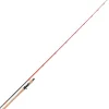 Cannes - TENRYU Canne casting Injection bc 80 xxh 2.40m, 80-200g