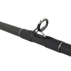 Cannes - TENRYU Canne Casting Injection BC 73 H Pike Special 2.21m, 20-80g