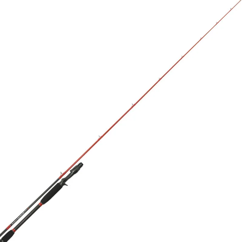 Cannes - TENRYU Canne casting injection bc 81 h 2,46m 20-80g