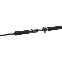 Cannes - WESTIN Canne Casting W3 Powercast-T 3rd 2.51m, 20-80g