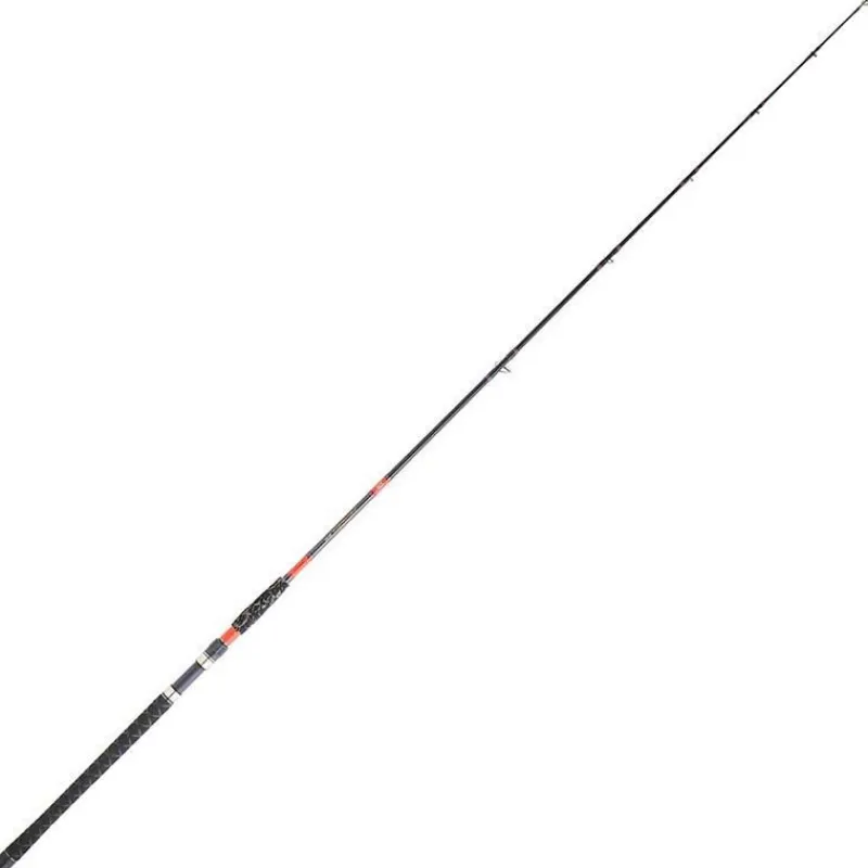 Cannes - DAIWA Canne megaforce big fish 3.60m