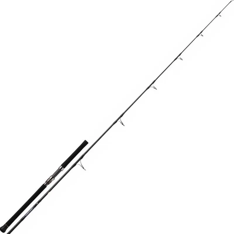 Pêche Du Thon|Cannes - DAIWA Canne Saltiga 2.26m max 80g