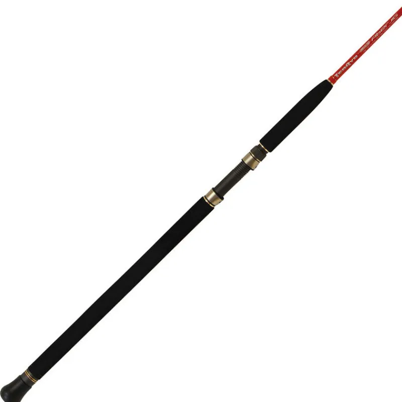 Pêche Du Thon|Pêche Aux Leurres - TENRYU Canne Jig mer big fiber jig 1.64m 50-80lb