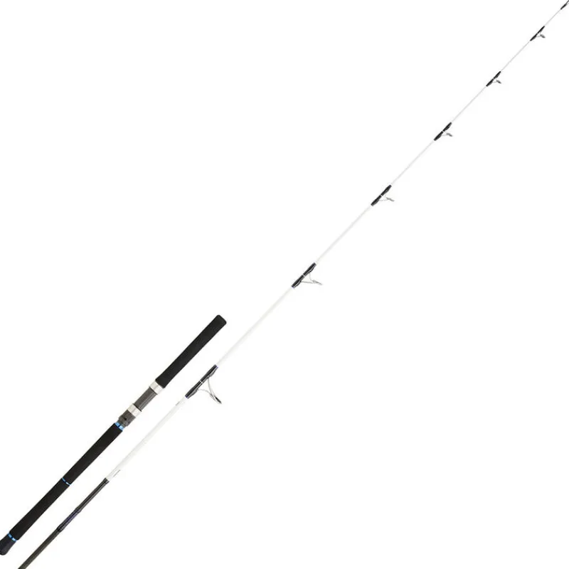 Pêche Aux Leurres|Cannes - DAIWA Canne Lancer Saltist 802 H 2.44m 40/50lbs