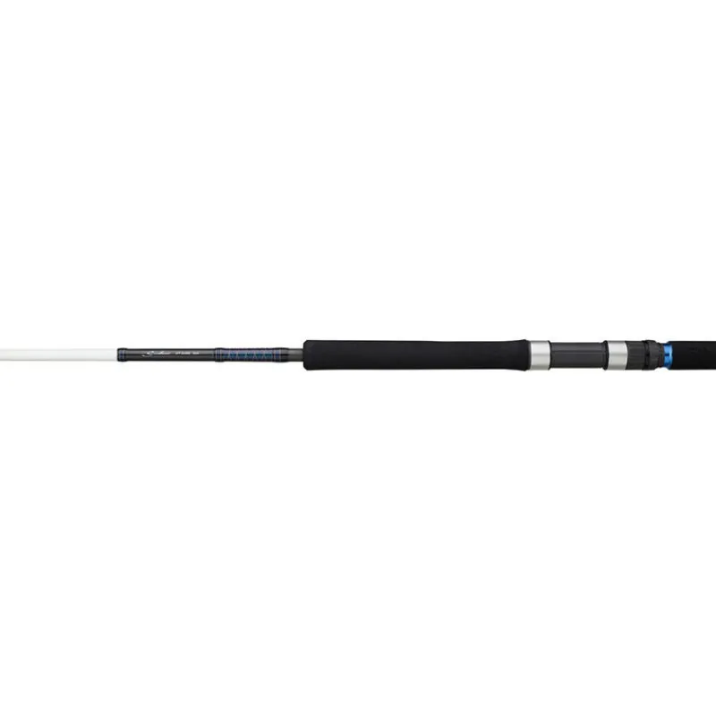 Pêche Aux Leurres|Cannes - DAIWA Canne Lancer Saltist 802 H 2.44m 40/50lbs
