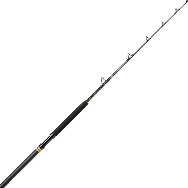 Pêche Du Thon|Cannes - PENN Canne Squall II trolling 30-80lb