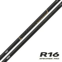 Cannes - RIVE Canne R-16 Specimen Pro 13m