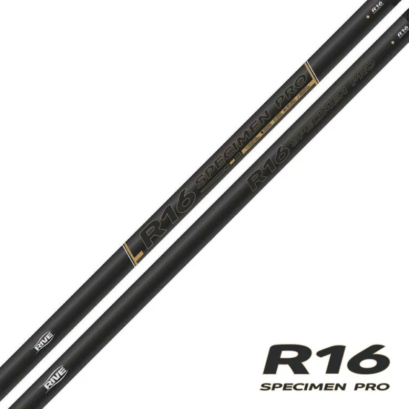 Cannes - RIVE Canne R-16 Specimen Pro 13m