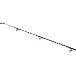 Cannes - SHIMANO Canne Power Surf H 425 AX L 4.25m 250g