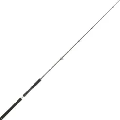 Cannes - DAIWA Canne Spinning Legalis Jigging 1m91