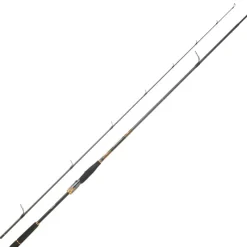 Cannes - DAIWA Canne Spinning Morethan Branzino Expert 2m24 10-35g
