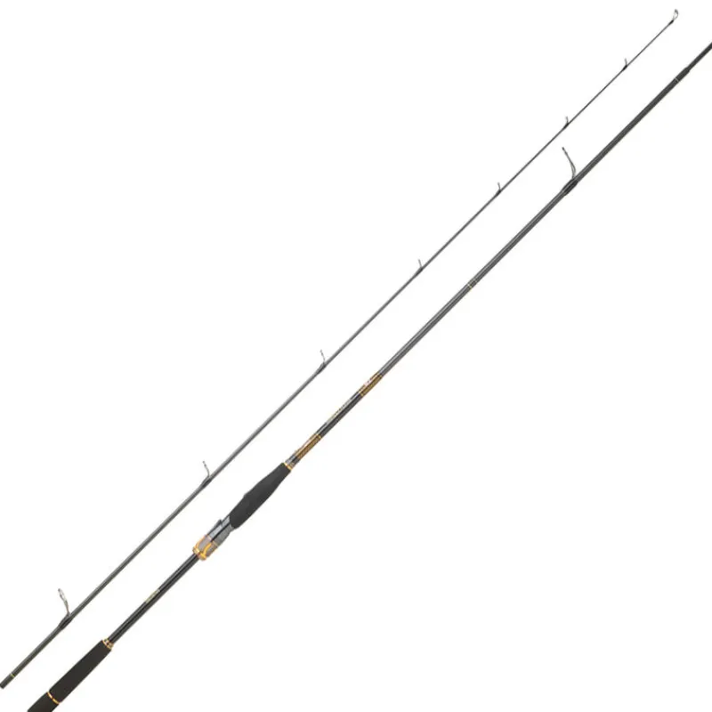 Cannes - DAIWA Canne Spinning Morethan Branzino Expert 2m24 10-35g