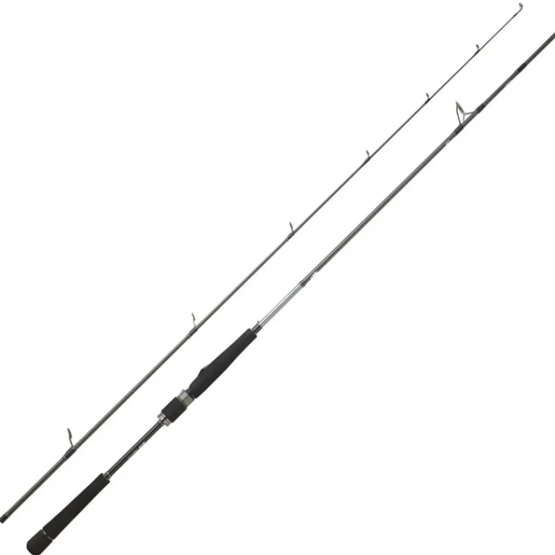 Cannes - DAIWA Canne Spinning Saltist Seabass 2m44 14-42g