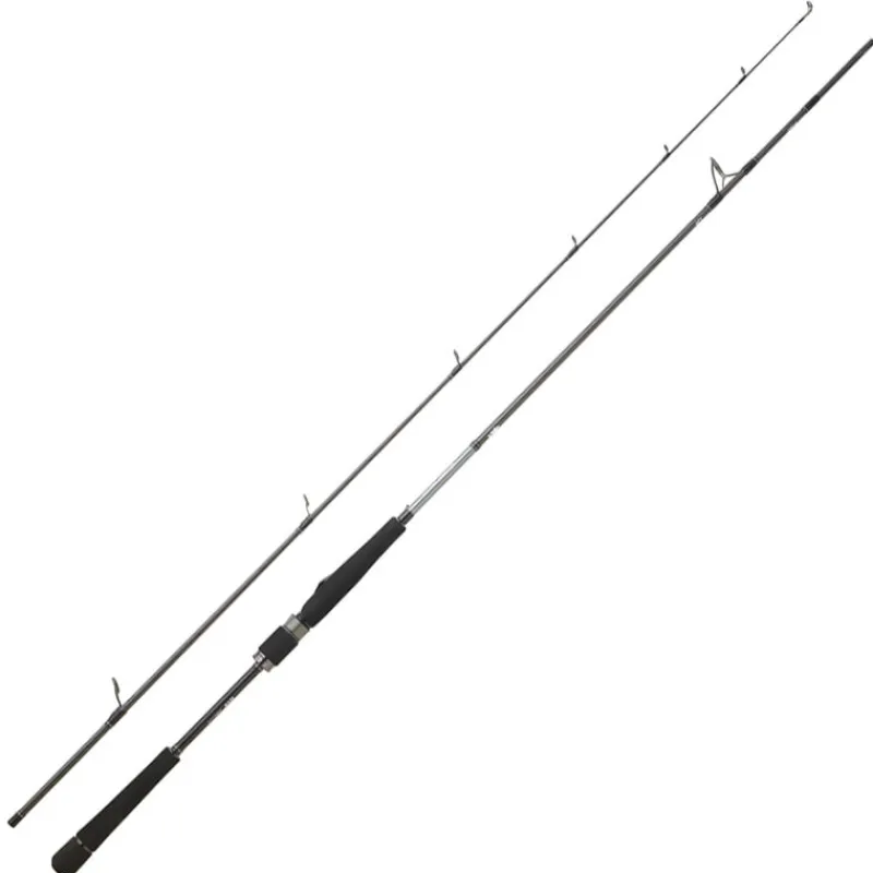 Cannes - DAIWA Canne Spinning Saltist Seabass 2m13 14-42g