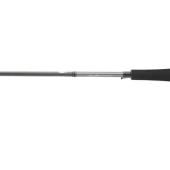 Cannes - DAIWA Canne Spinning Saltist Seabass 2m13 14-42g