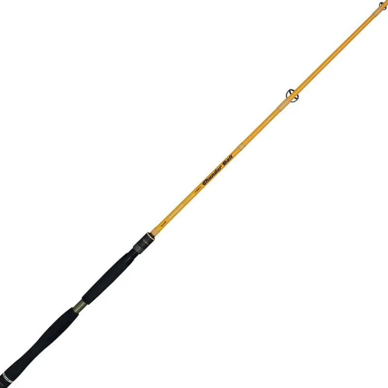 Cannes - ILLEX Canne Spinning Element Rider THUNDER BOLT 2.15m 15-60g