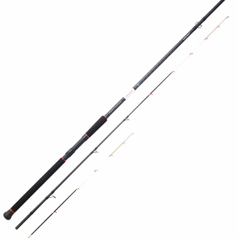 Cannes - SUNSET Canne Spinning Dorada Powersense 3m 250g Max