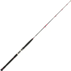 Cannes - DAIWA Canne Spinning Voyage Saltist Travel 734HFS 2.21m 30/70g