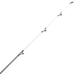 Surfcasting|Cannes - DAIWA Canne Surfcasting Shorecast Surf X 4m20 100-200g