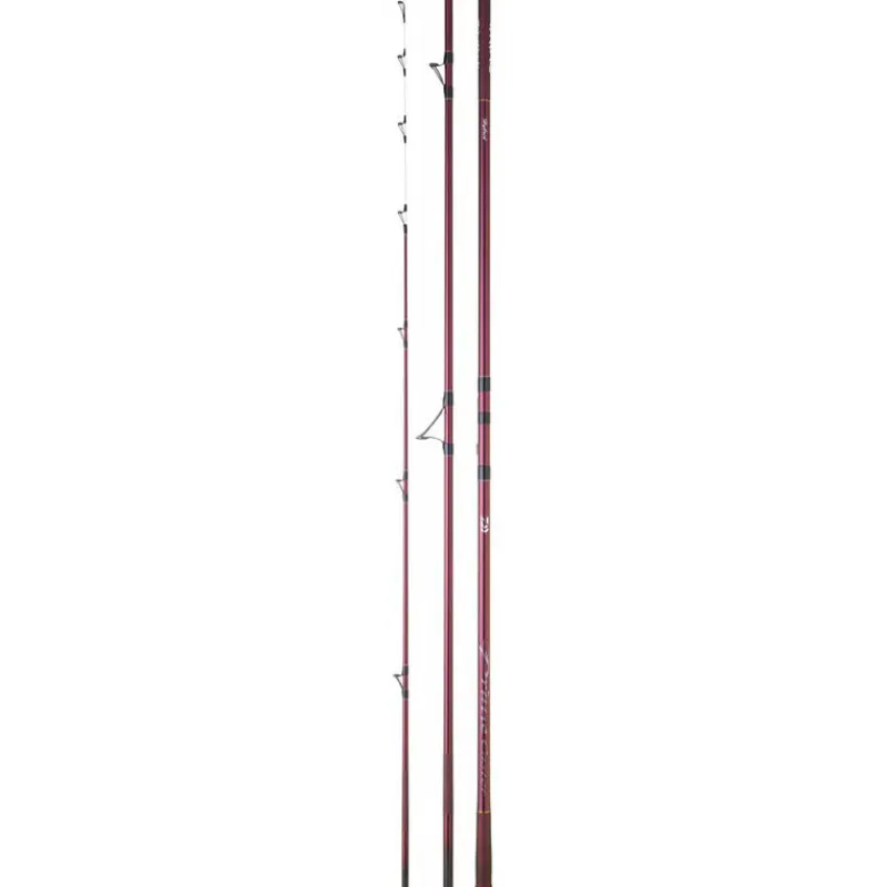 Surfcasting|Cannes - DAIWA Canne Surfcasting prime caster slim 4.25m