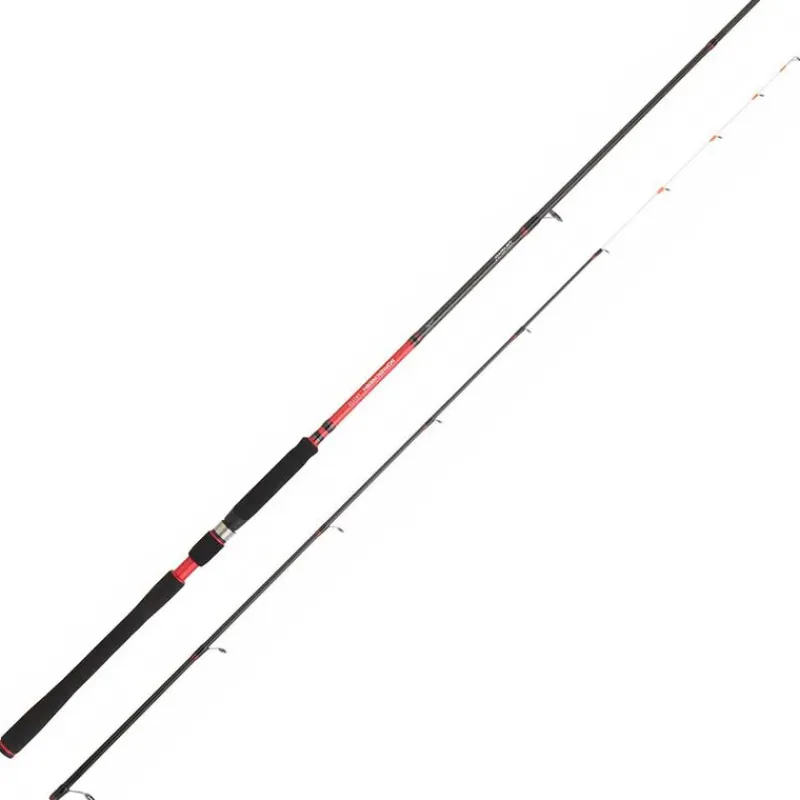 Pêche Au Tenya|Cannes - DAIWA Canne Tenya powermesh 242h 2.40m 20-70g