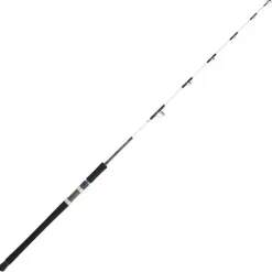 Cannes - DAIWA Canne vertical jigging saltist offshore vj 55 1.65m 100-300g