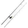Ensembles - TEAM CARPFISHING Combo Process 10' 3lbs + 5000 FD