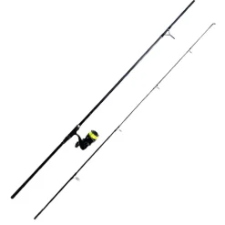 Ensembles - TEAM CARPFISHING Combo Process 10' 3lbs + 5000 FD