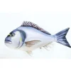 Goodies Et Idées Cadeaux - GABY Coussin Dorade Royale  Medium 60cm