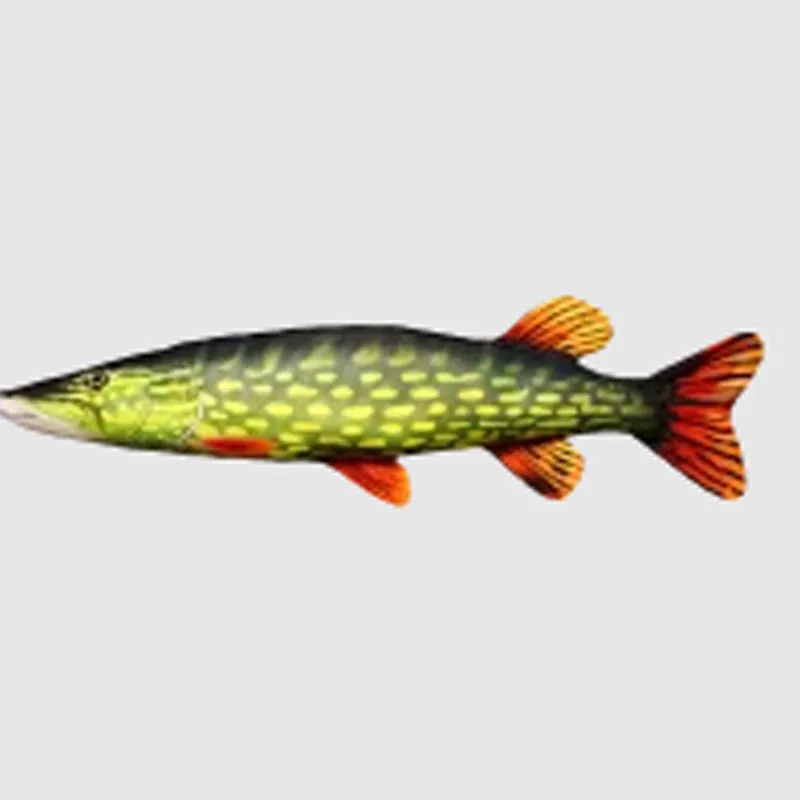 Goodies Et Idées Cadeaux - GABY Coussin Pike Medium 80cm