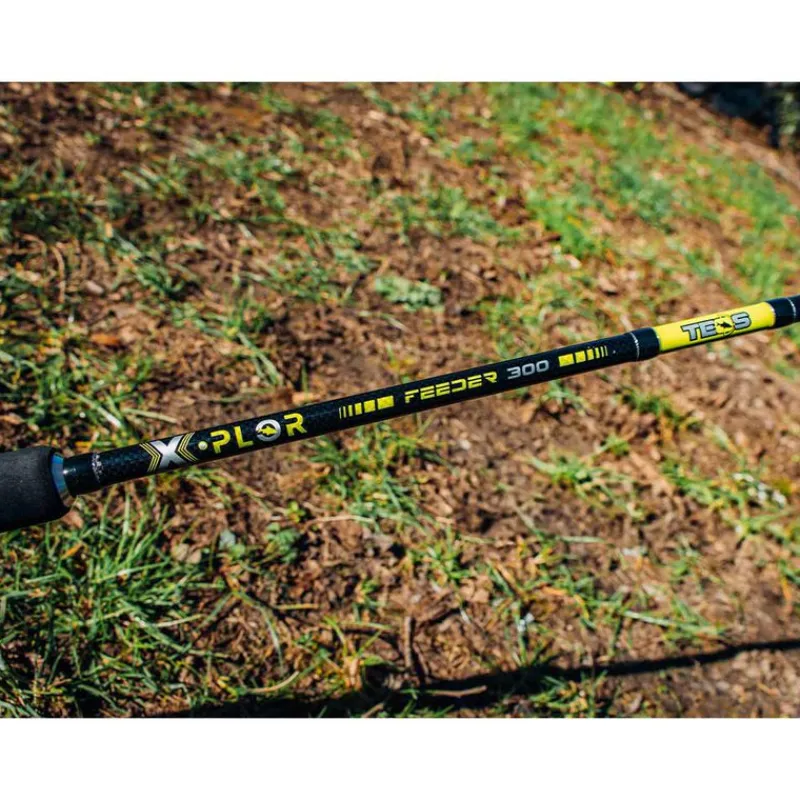 Ensembles Feeder - TEOS Ensemble Feeder X-Plor Feeder 300