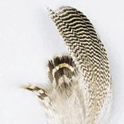Fly Tying - JMC Fly tying plumes de sarcelle