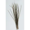 Fly Tying - JMC Fly tying plumes herl de paon