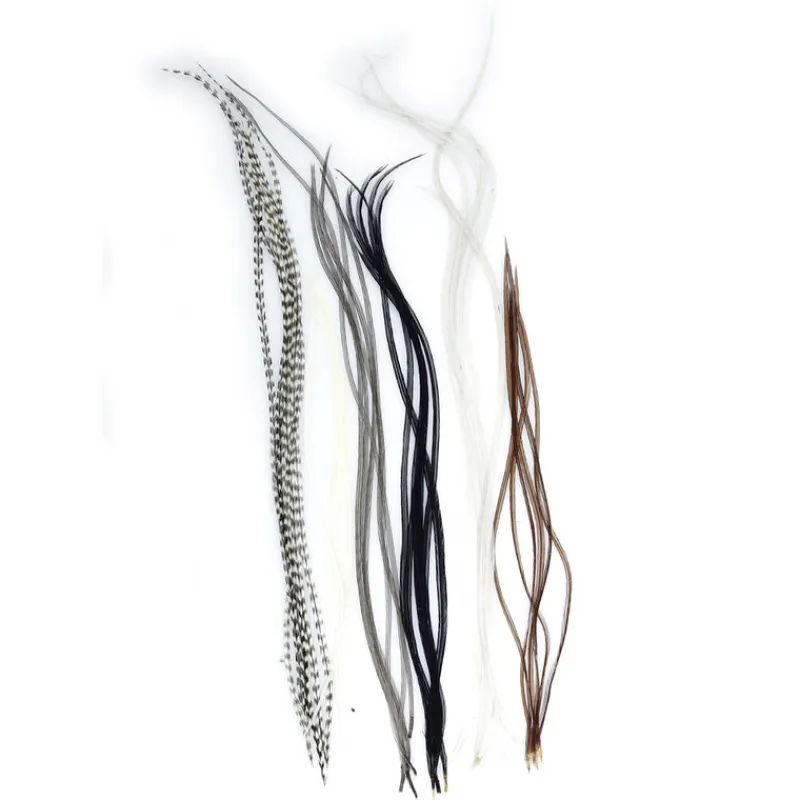 Fly Tying - JMC Fly tying plumes lancettes top grade (6 plumes)