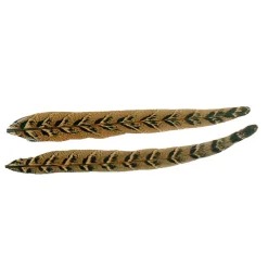 Fly Tying - JMC Fly tying plumes queue de faisane