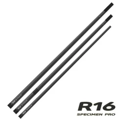 Cannes - RIVE Kit 3 Elements R-16 Specimen Pro