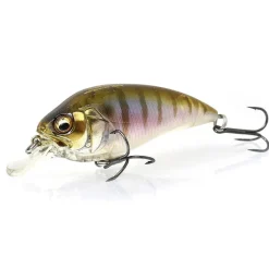 Leurres - MEGABASS Leurre Dur Crankbait Super Z Z1 5.3cm, 7g