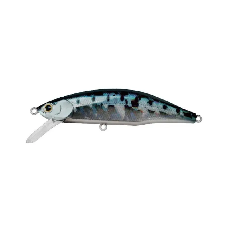 Leurres À Truite|Leurres - JACKSON Leurre Dur Jerkbait Meteora 8cm, 15.5g